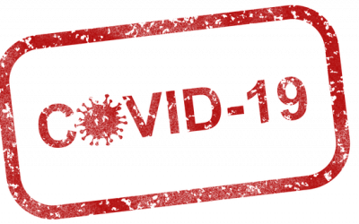 Question écrite : stratégie de gestion de la crise (25/09/2020)