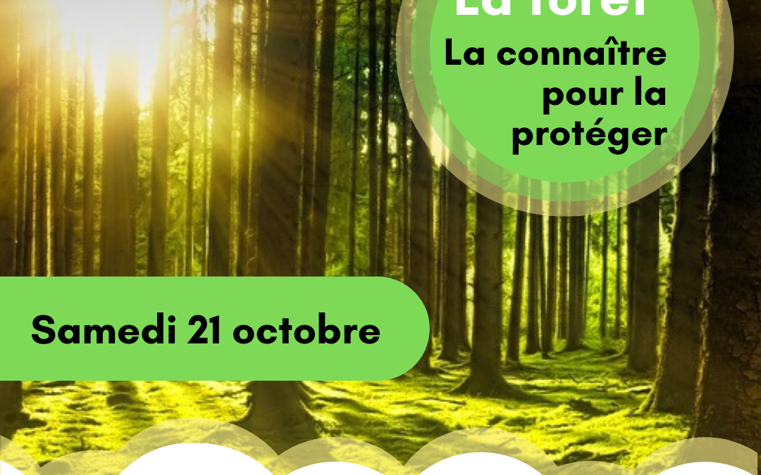 Ce 21 octobre, balade « La forêt : la connaitre pour mieux la protéger »