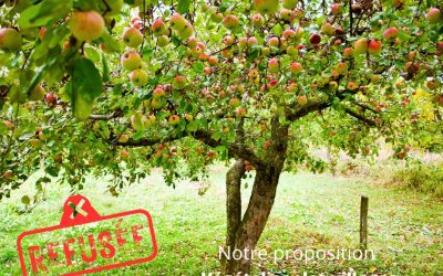 Végétaliser les coeur de village avec les écoles ? C&rsquo;est non pour le MR